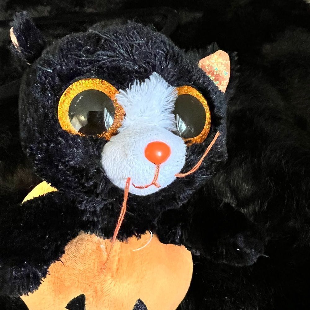 Ty Beanie Boos Edgar The Halloween Cat in a Pumpkin 6" 2019‎
